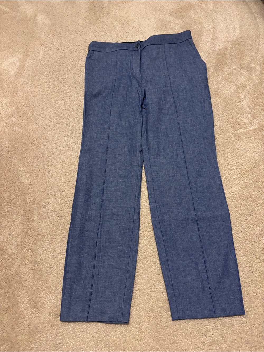 Express Blue Ankle Pants